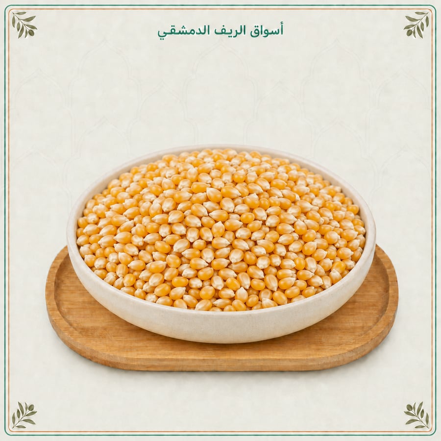 فوشار أرجنتيني