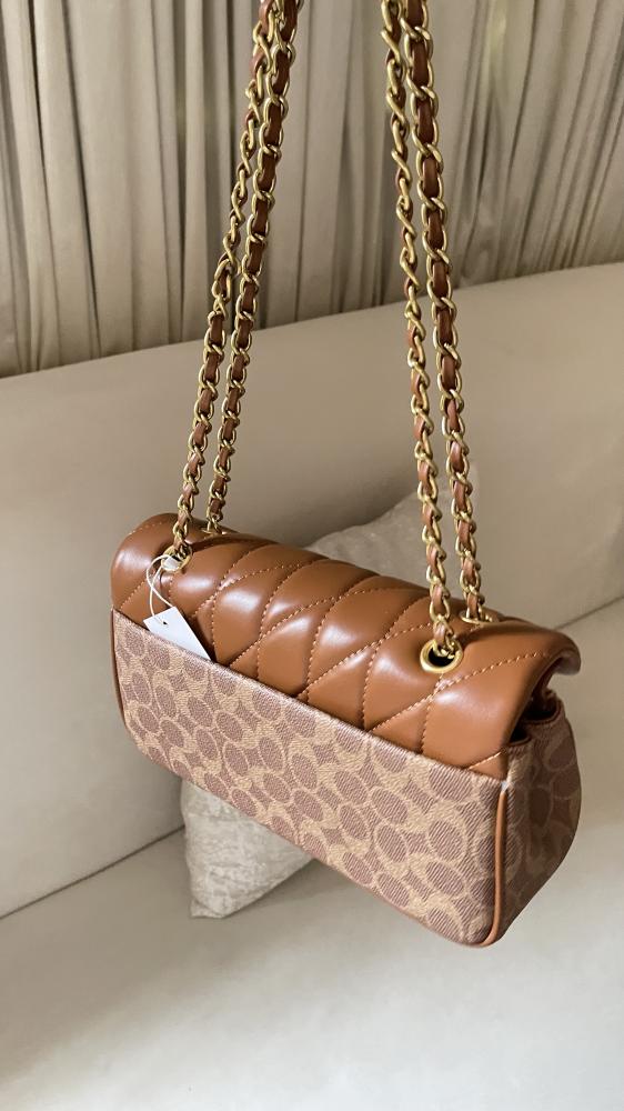 كوتش تابي