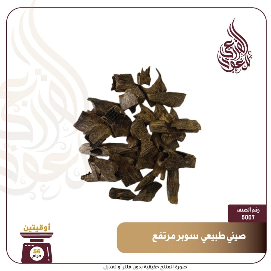 صيني