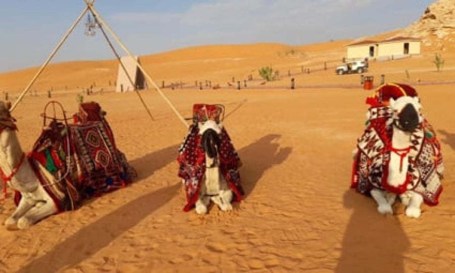 ركوب الجمال