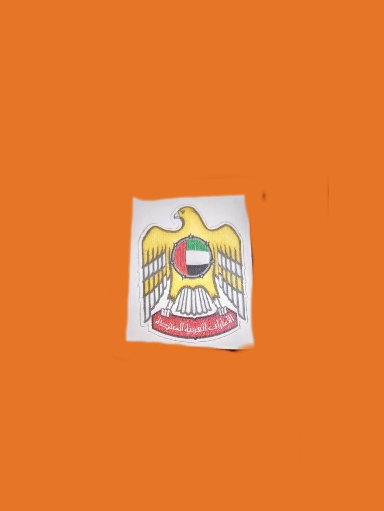 استكر اعلام الدول