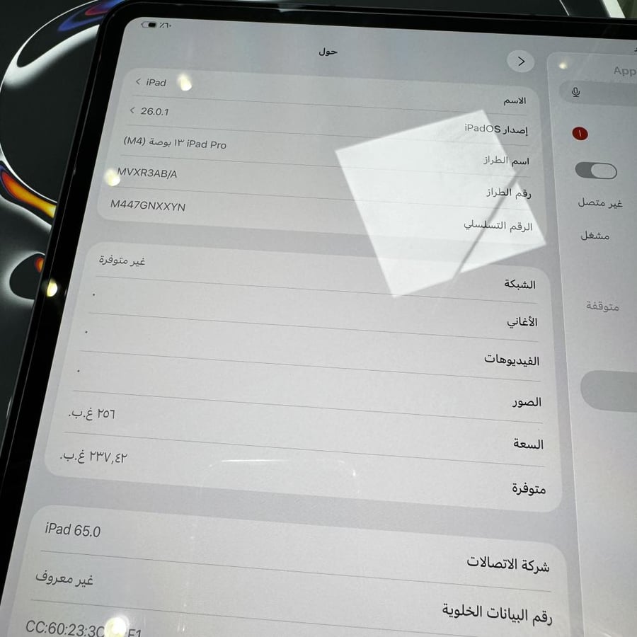 iPad Pro 13 inch with 256GB capacity, SIM card + Wi-Fi, used, battery percentage 100%