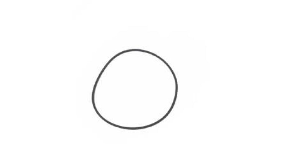 O-ring viton 0 69,57 x 1,78 mm set of 5 (MO16.5)