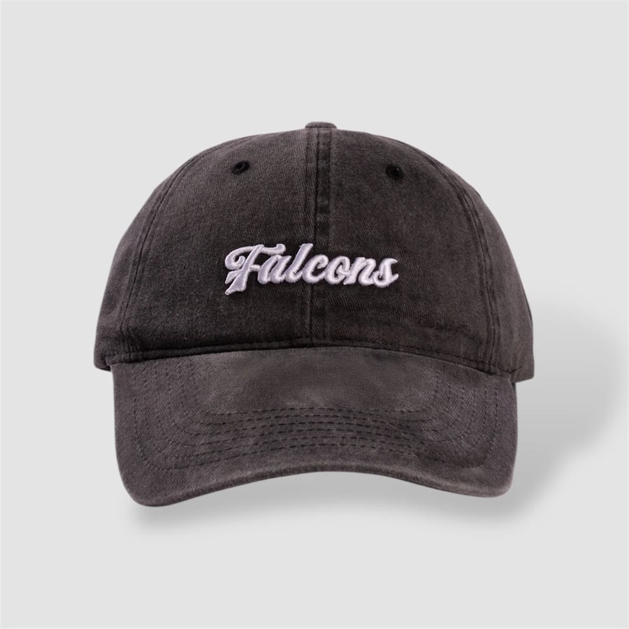 Team Falcons Cap
