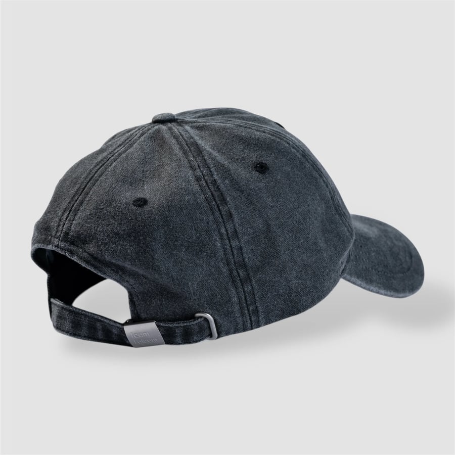 Team Falcons Cap