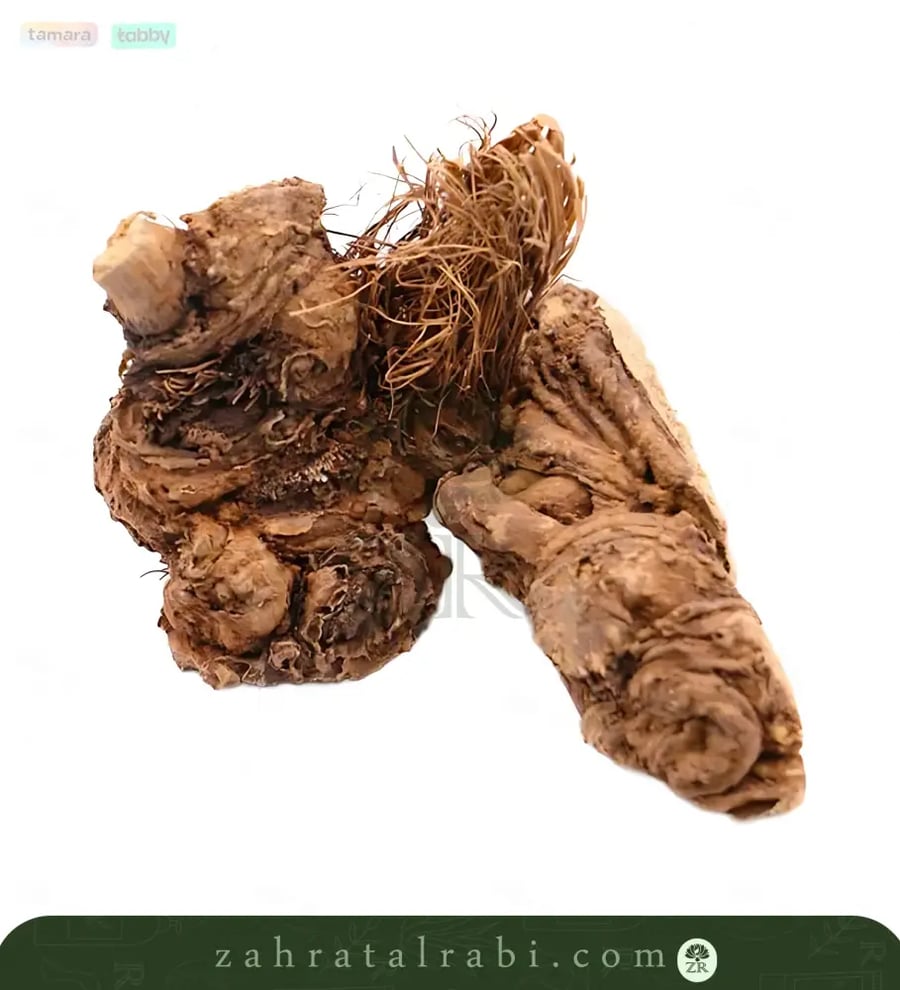 زلوع