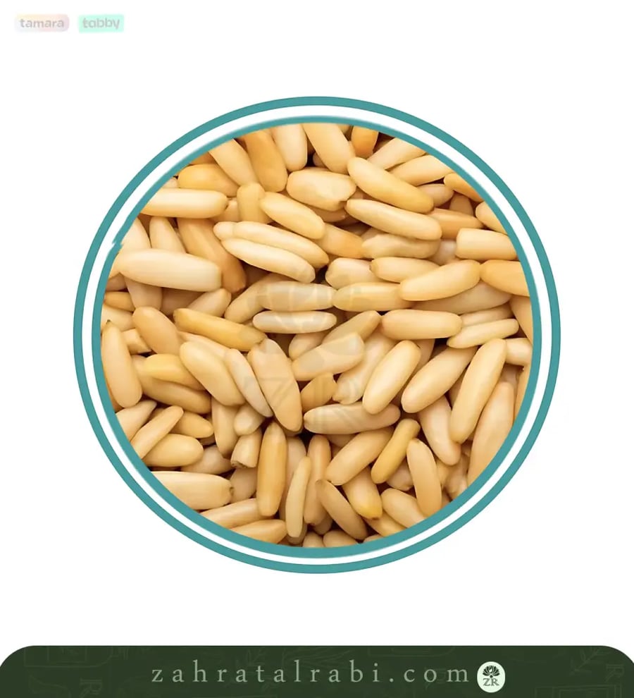صنوبر فاخر