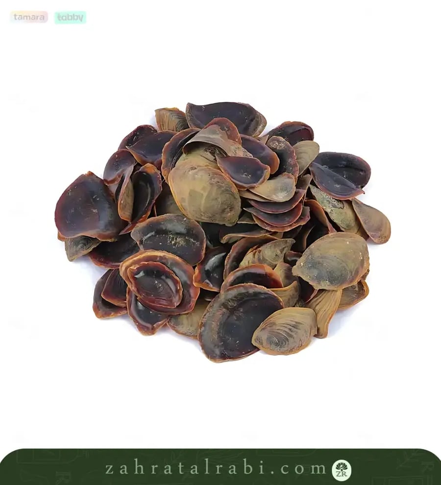 ظفرة وسط  جرام