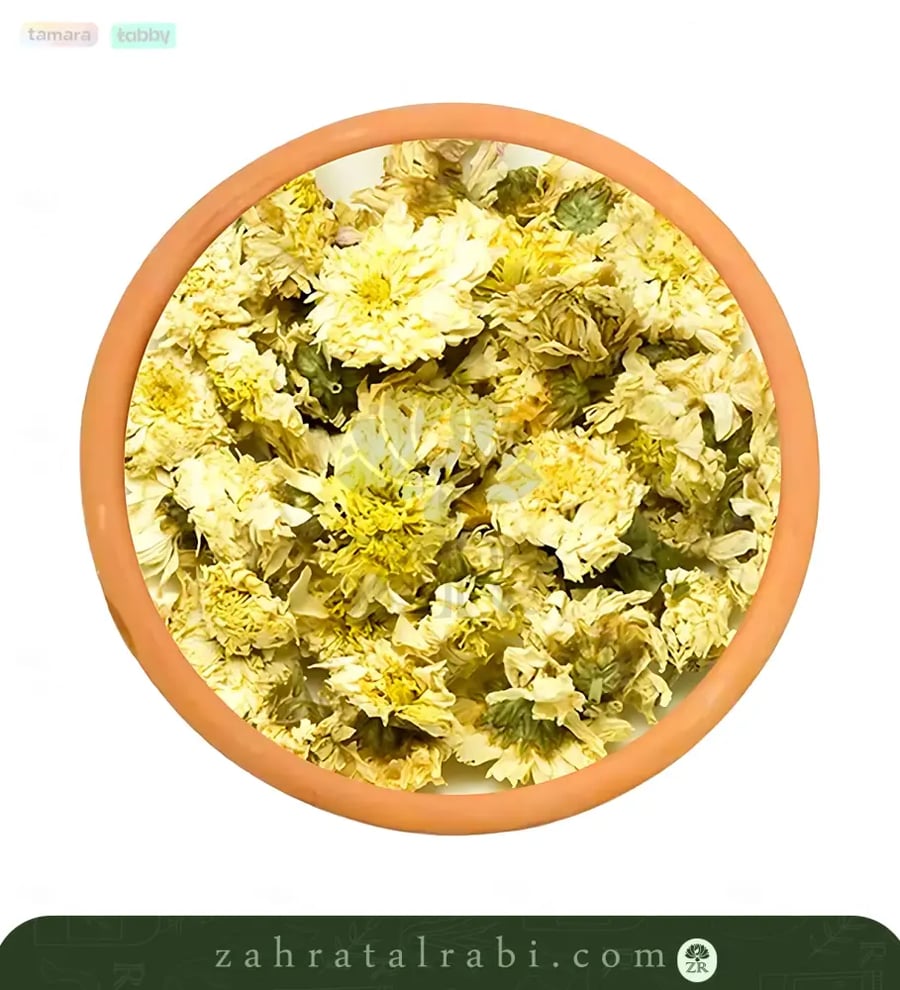 عشبة الاقحوان