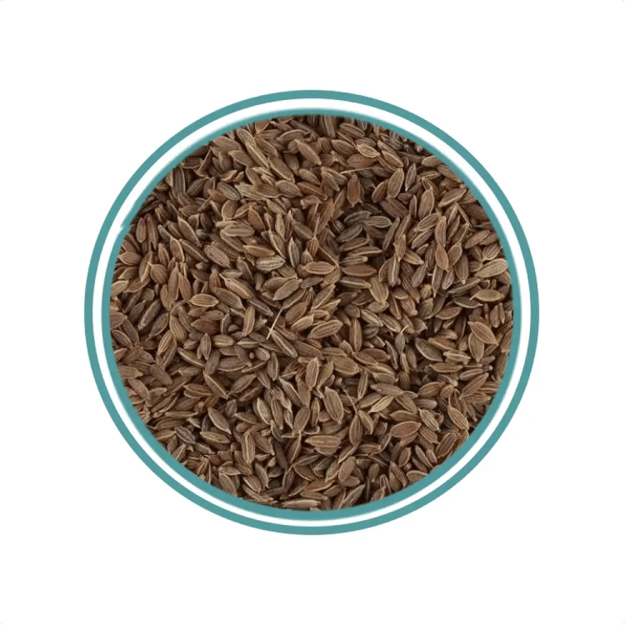 بذور الشبت (عين جرادة) 125جم