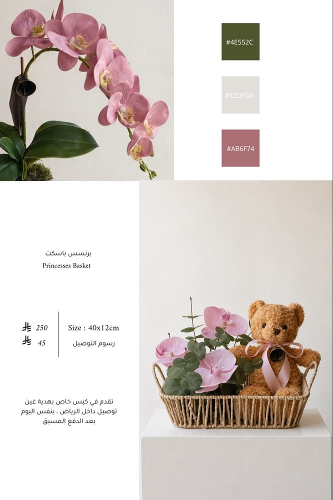 برنسس باسكت