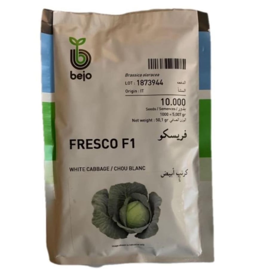 Fresco cabbage seeds 10000