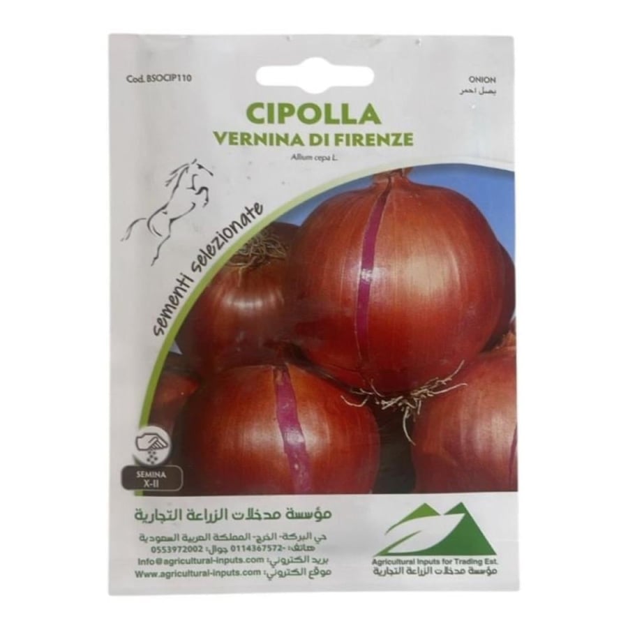 Red onion seeds