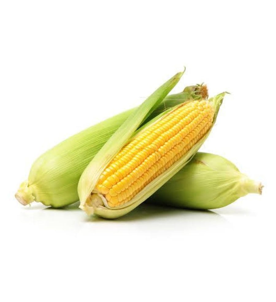 Sweet corn seeds
