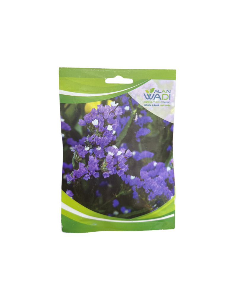 Lavender flower seeds - small purple