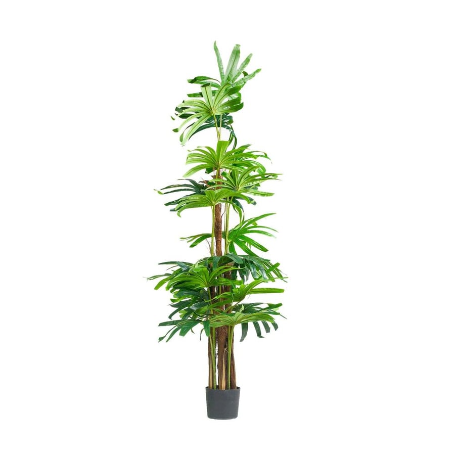 Artificial palm tree Five Finger – height 180 cm – natural indoor and outdoor decor for homes