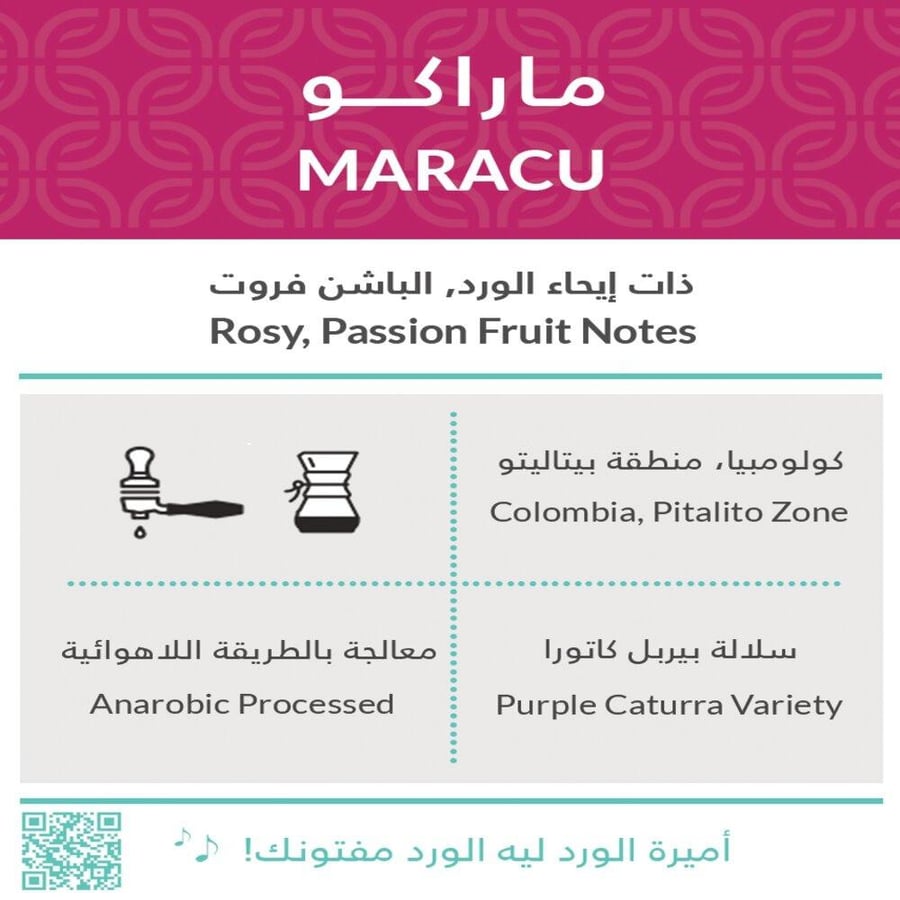 كولومبيا ماراكو لاهوائية - كفة | Maracu