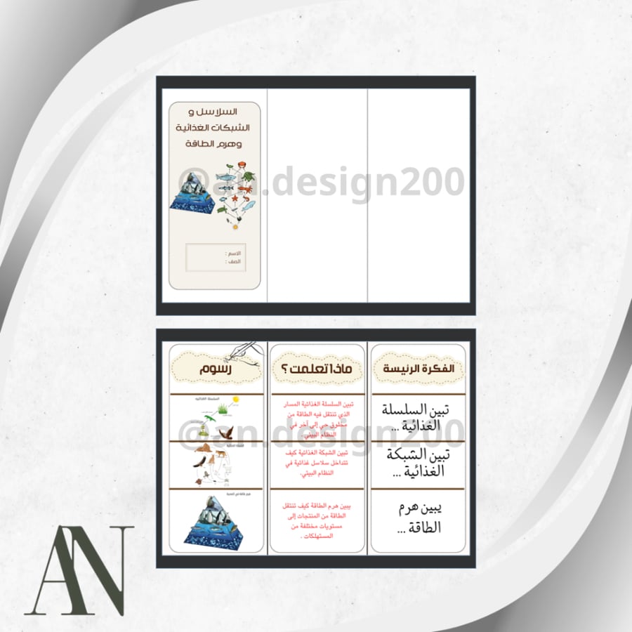 علوم سادس السلاسل و الشبكات الغذائية