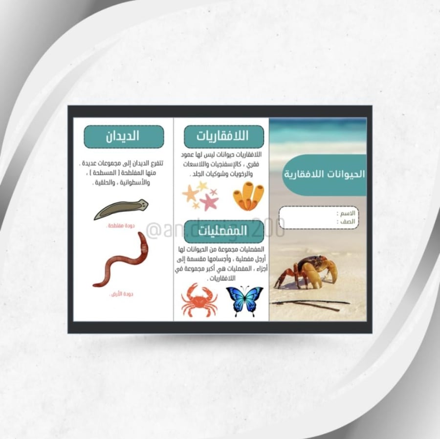 علوم رابع الحيوانات اللافقارية