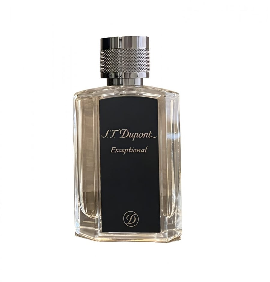 S T Dupont Exceptional Eau de Parfum 100ml متجر خبير العطور