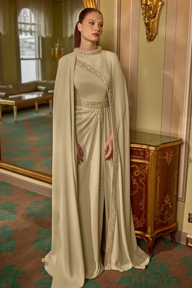 Evening dress  HARLEEN