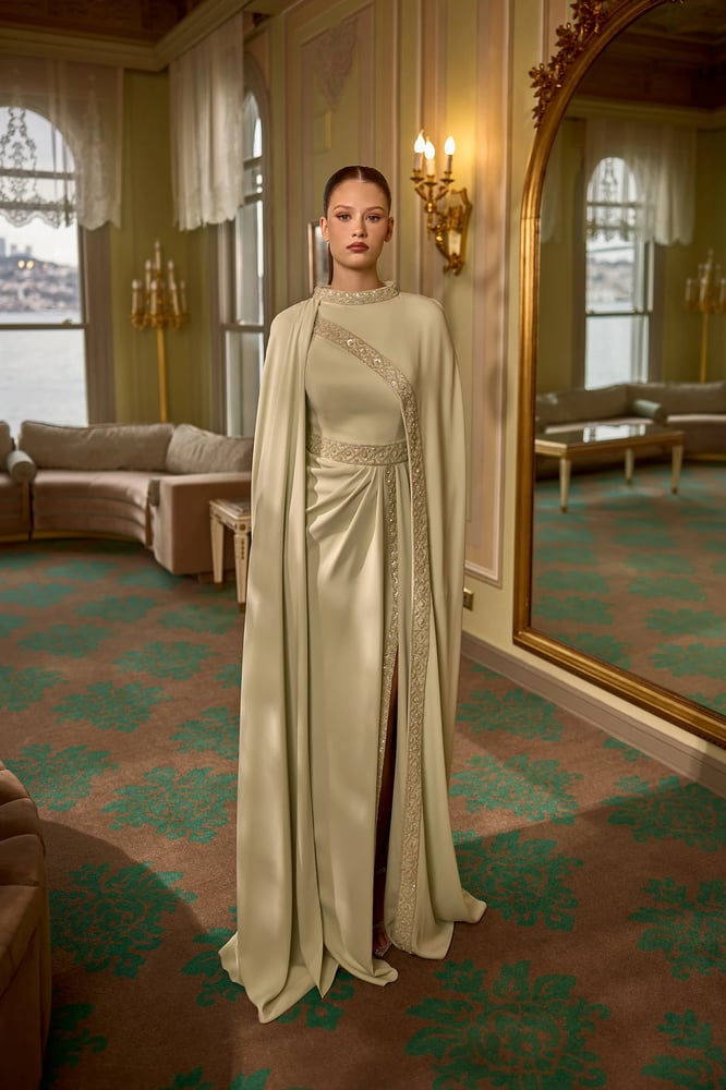 Evening dress  HARLEEN