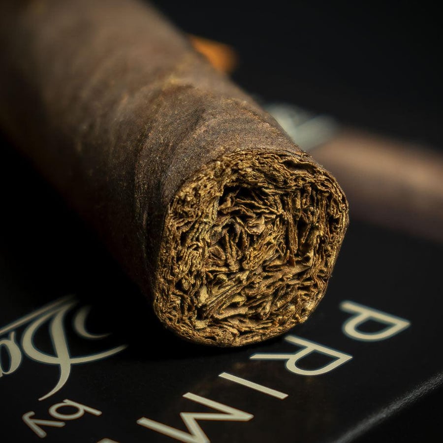 سيجار نيكاراغوا دافيدوف بريميروس Cigar Davidoff Primeros Nicaraguan