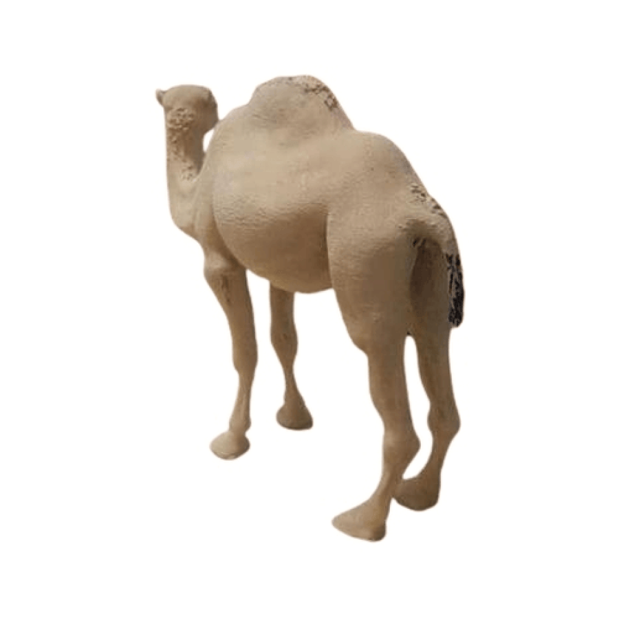 مجسم جمل واقعي من الخلف مناسب للمشاهد الصحراوية