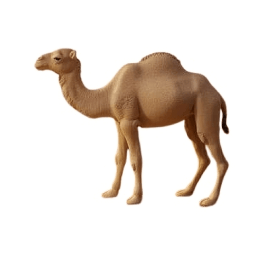 مجسم جمل عربي واقعي واقف بلون بني رملي من الجانب