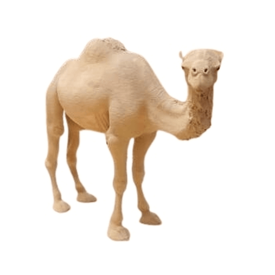 مجسم جمل تراثي من الأمام يوضح الرأس والسنام والأرجل