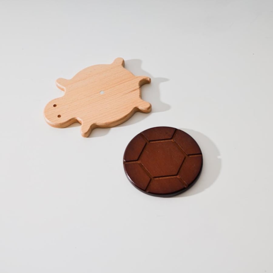 A luxurious turtle-shaped base
