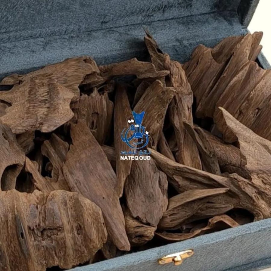 عود موروكي آصقون طبيعي تربل سوبر بالجملة