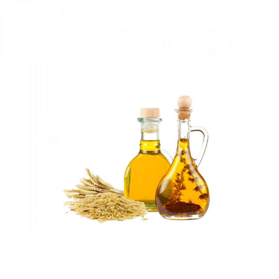 زيت نخالة الأرز المركز