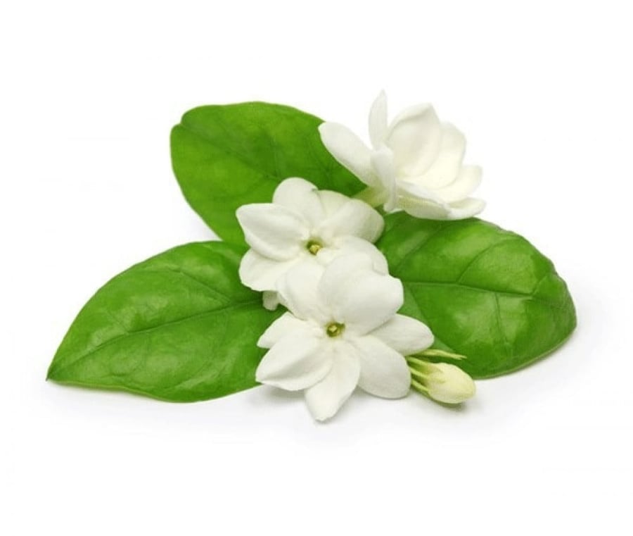 زيت عطري لرائحة الفل