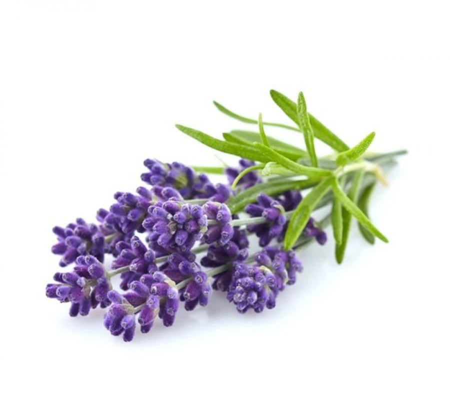 زيت عطري لرائحة اللافندر