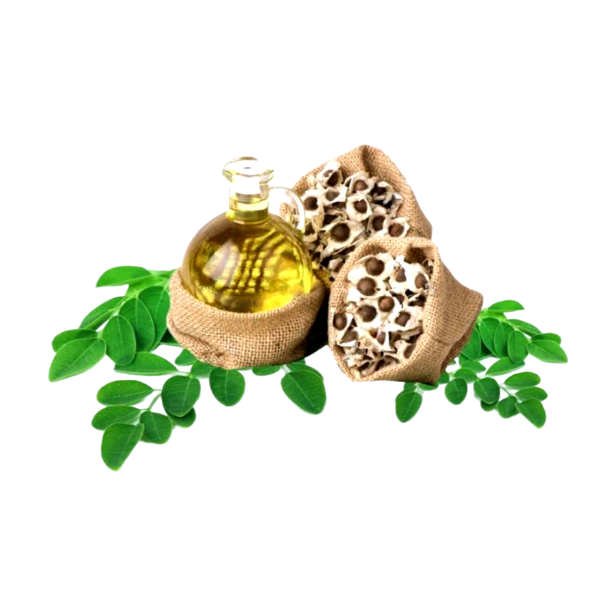 زيت المورينجا المركز