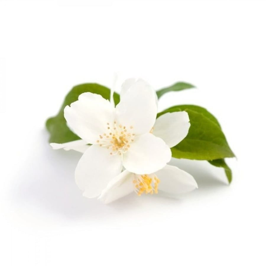 زيت عطري لرائحة الياسمين