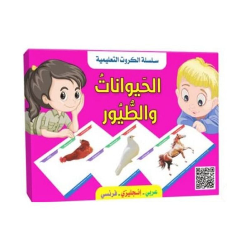 Educational cards series animals and birds