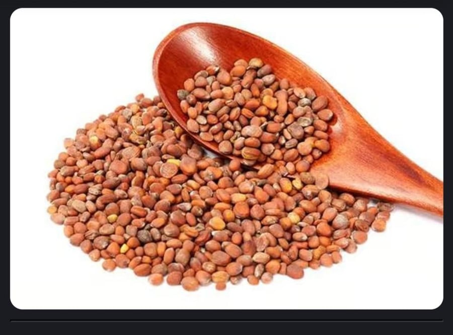 بذور الفجل 250مل