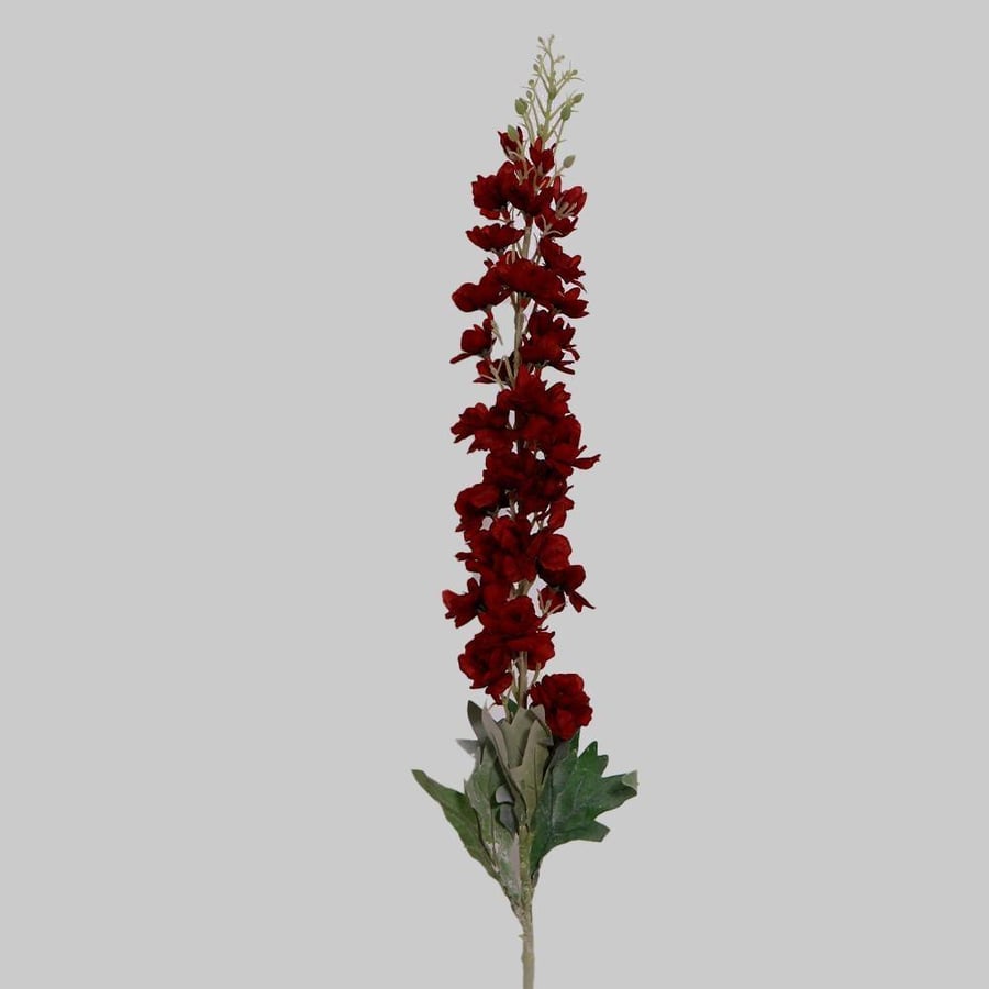 The branch of delphinium is myrtle