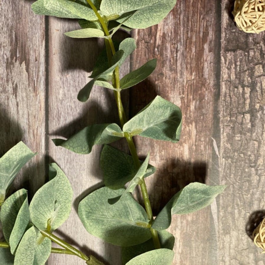 Large eucalyptus branches (116 cm)