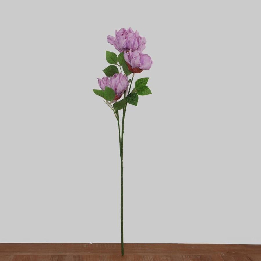 Lavender peony branch