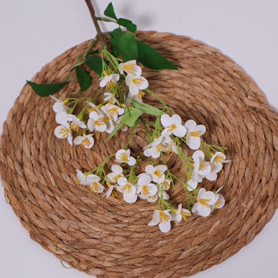 White flower branch