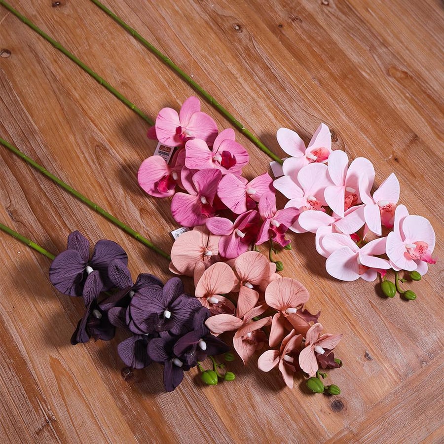 Orchid beige