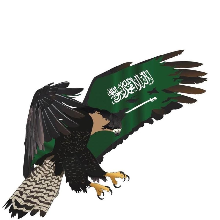 تشيرت الصقر السعودي