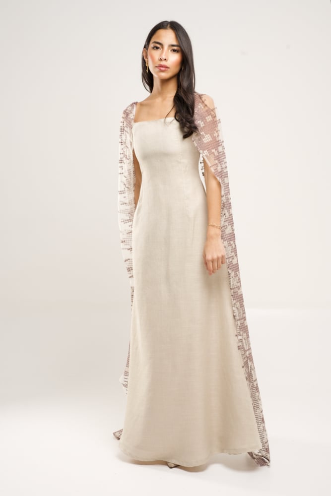 AMIRA