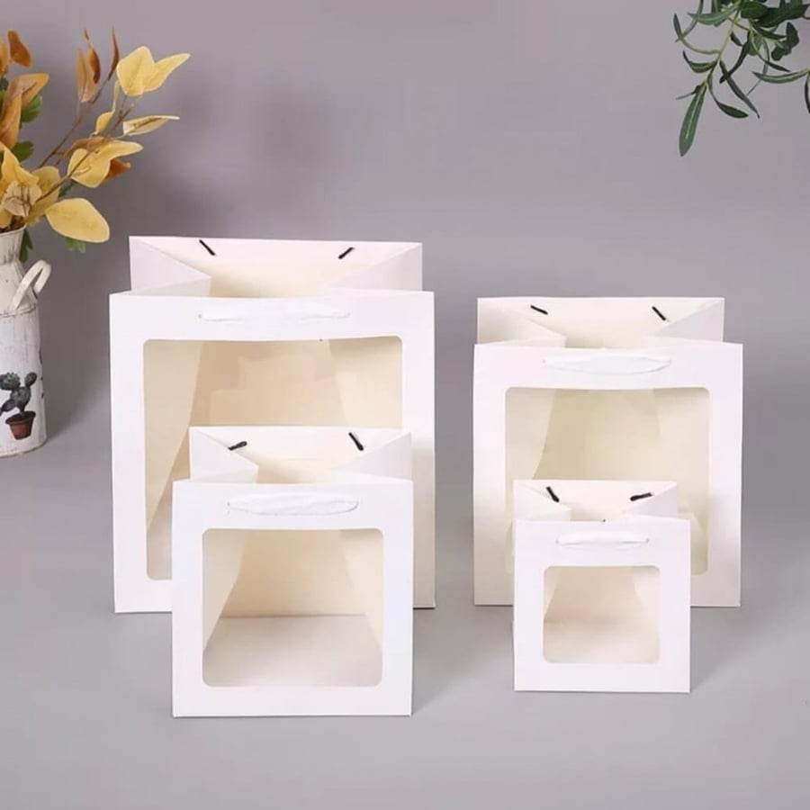 Square paper bag with window 20*20 cm