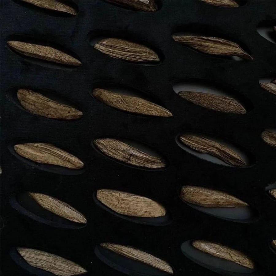 بكج كسر العود