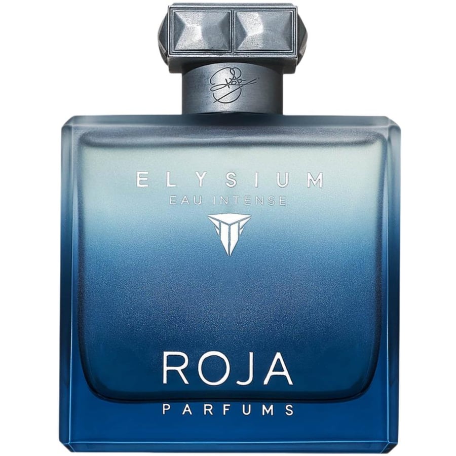 Roja Ilicium Pour Homme Eau Intense perfume 100ml روائع وسطاء العطور