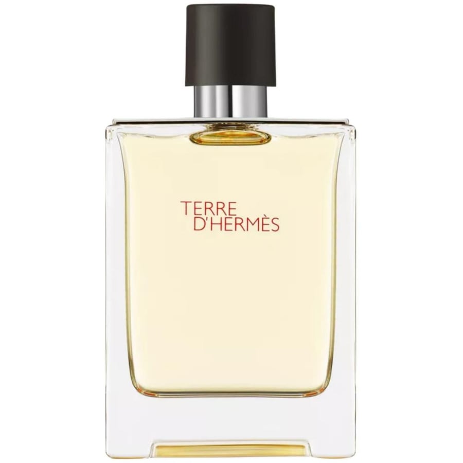 Hermes Terre dHermes Eau de Toilette 100ml روائع وسطاء العطور